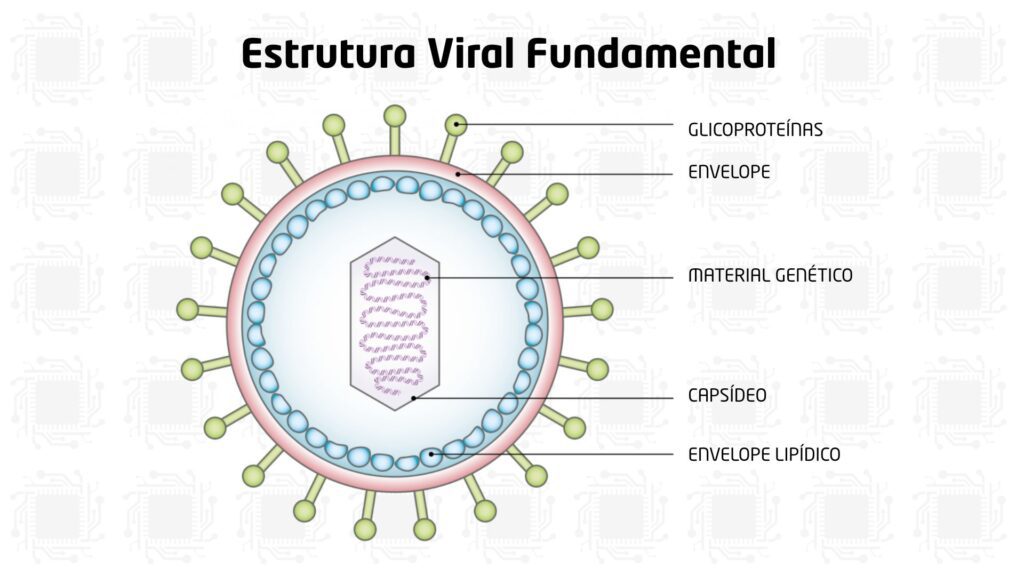 Estrutura Viral Fundamental